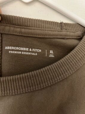 Abercrombie & Fitch Men's Crewneck short sleeve tee  in Taupe